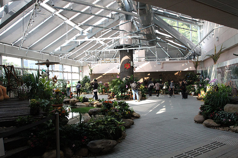 Гонконг, Централ и Адмиралти, Оранжерея Форсгейта (Hong Kong, Central and Admiralty, Forsgate Conservatory)