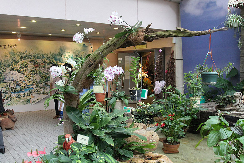 Гонконг, Централ и Адмиралти, Оранжерея Форсгейта (Hong Kong, Central and Admiralty, Forsgate Conservatory)