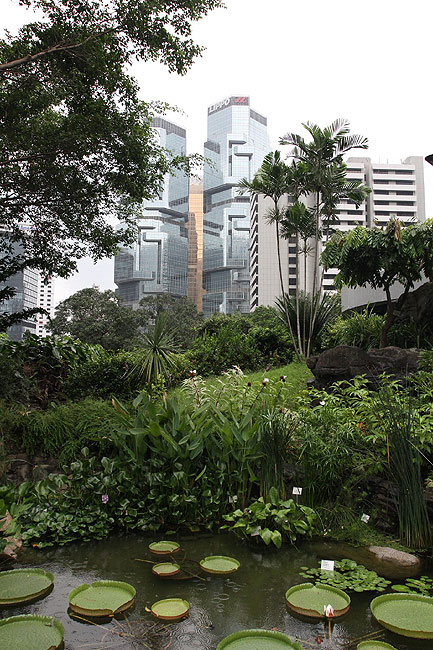 Гонконг, Централ и Адмиралти, Оранжерея Форсгейта (Hong Kong, Central and Admiralty, Forsgate Conservatory)