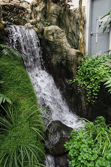 Гонконг, Централ и Адмиралти, Оранжерея Форсгейта (Hong Kong, Central and Admiralty, Forsgate Conservatory)