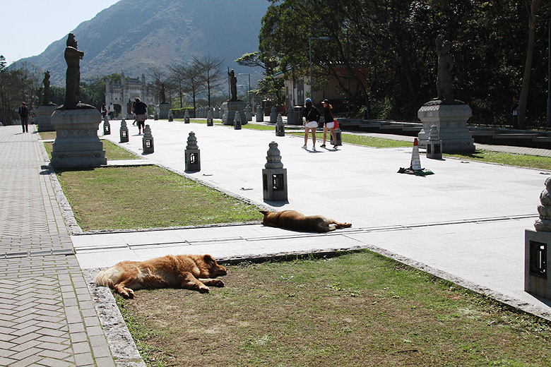 Гонконг, Остров Лантау, Деревня Нгон Пхин (Hong Kong, Lantau Island, Ngong Ping Village)