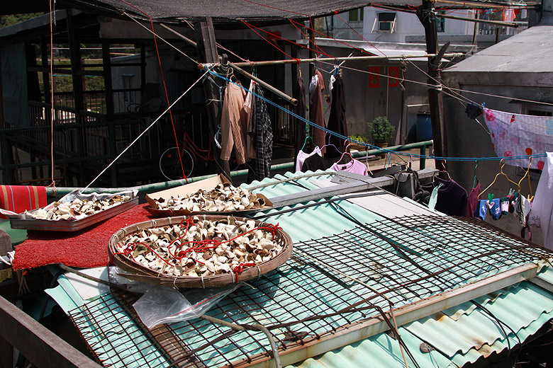 Гонконг, Остров Лантау, Деревня на воде (Hong Kong, Lantau Island, Water Town)