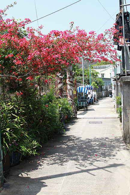 Гонконг, Остров Лантау, Улица Кхат Хин Бэк Стрит (Hong Kong, Lantau Island, Kat Hing Back Street)