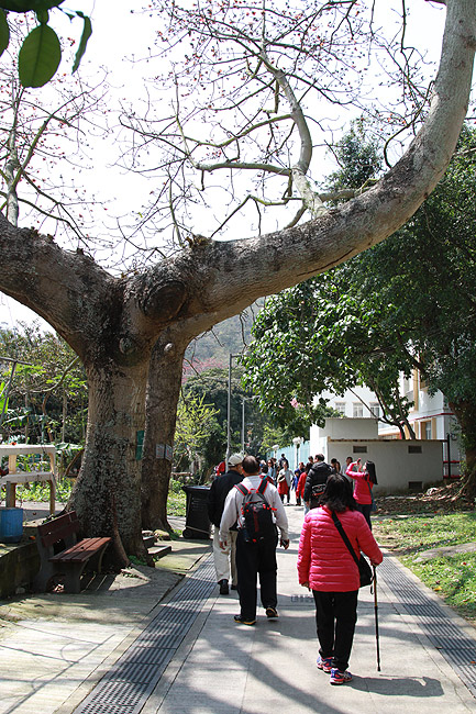 Гонконг, Остров Лантау, Улица Шэк Цай Пхо Стрит (Hong Kong, Lantau Island, Shek Tsai Po Street)