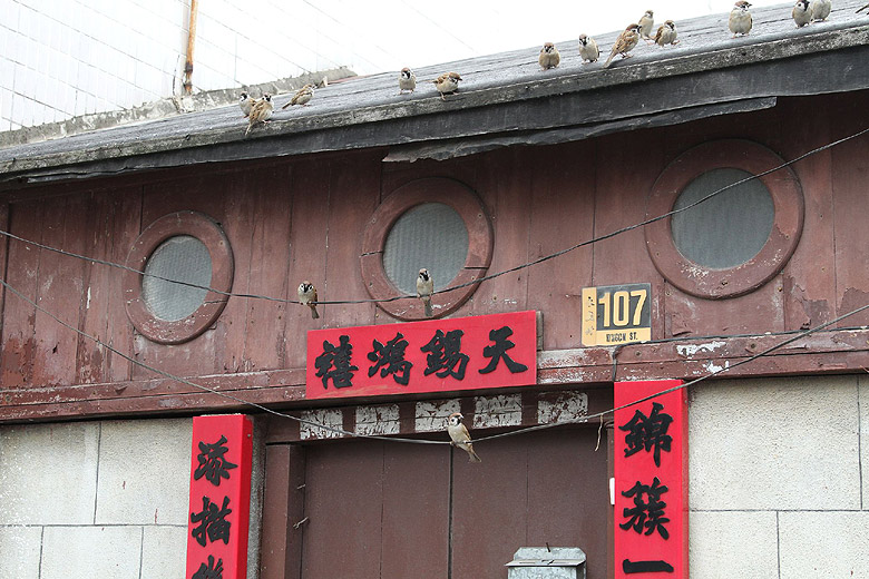 Гонконг, Остров Лантау, Улица Тай О Вин О Стрит (Hong Kong, Lantau Island, Tai O Wing On Street)
