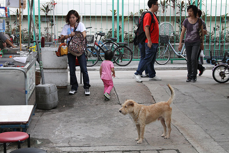 Гонконг, Остров Лантау, Улица Тай О Вин О Стрит (Hong Kong, Lantau Island, Tai O Wing On Street)