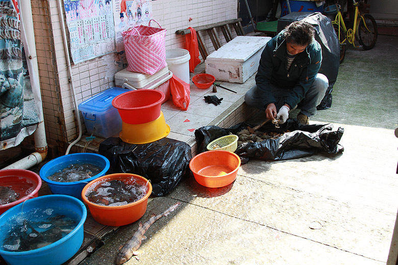 Гонконг, Остров Лантау, Улица Рынка Тай О (Hong Kong, Lantau Island, Tai O Market Street)