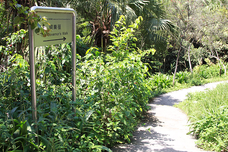 Гонконг, Пик Виктория, Тропа Губернатора (Hong Kong, Victoria Peak, Governor's Walk)