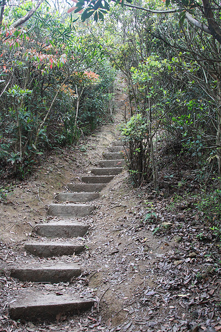 Гонконг, Пик Виктория, Дорожка на Западную Высоту (Hong Kong, Victoria Peak, Road to the High West)