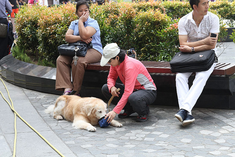 Гонконг, Пик Виктория, Площадь перед Башней (Hong Kong, Victoria Peak, Square in front of the Tower)