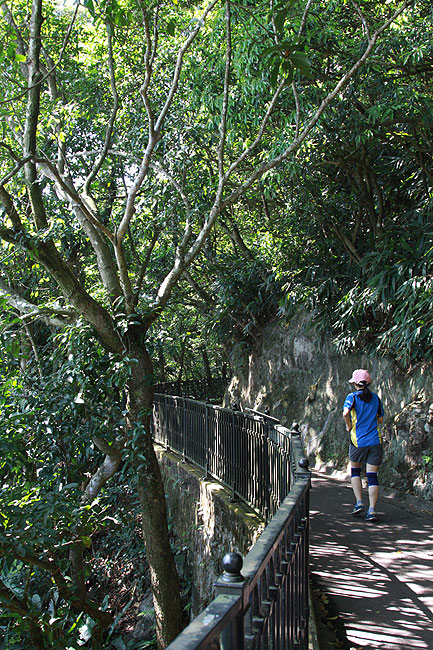 Гонконг, Пик Виктория, Гонконгская Тропа (Lugard Road) (Hong Kong, Victoria Peak, Hong Kong Trail (Lugard Road))