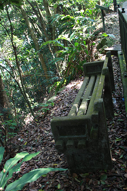 Гонконг, Пик Виктория, Гонконгская Тропа (Lugard Road) (Hong Kong, Victoria Peak, Hong Kong Trail (Lugard Road))