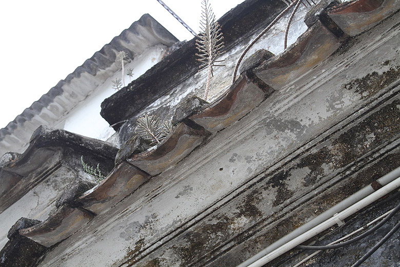 Гонконг, Шатинь, Деревня Цан Тай Ук (Hong Kong, Shatin, Tsang Tai Uk Walled Village)