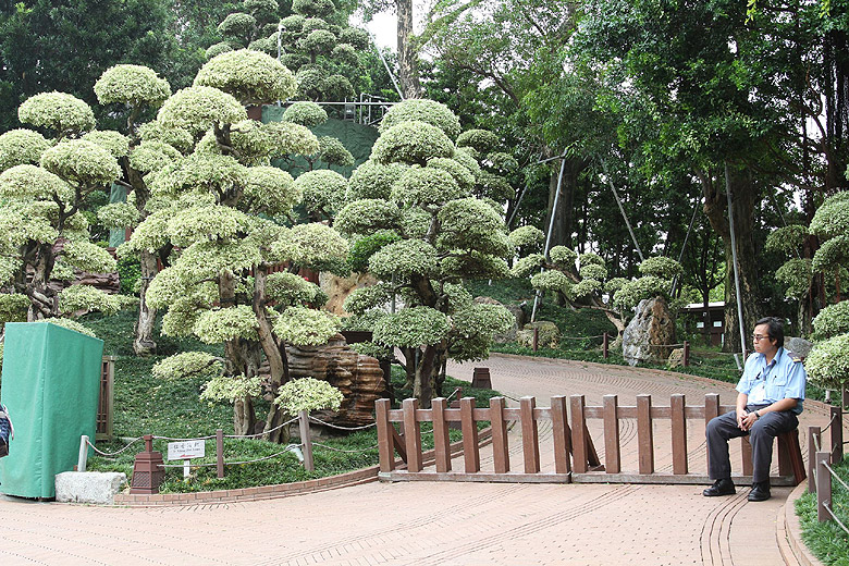 Гонконг, Сад Нань Лянь (Hong Kong, Nan Lian Garden)