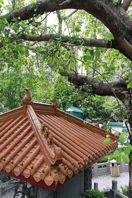 Гонконг, Храм Вон Тай Синь (Hong Kong, Wong Tai Sin Temple)