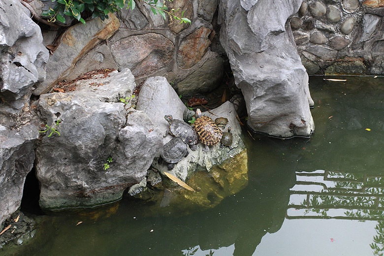 Гонконг, Храм Вон Тай Синь (Hong Kong, Wong Tai Sin Temple)