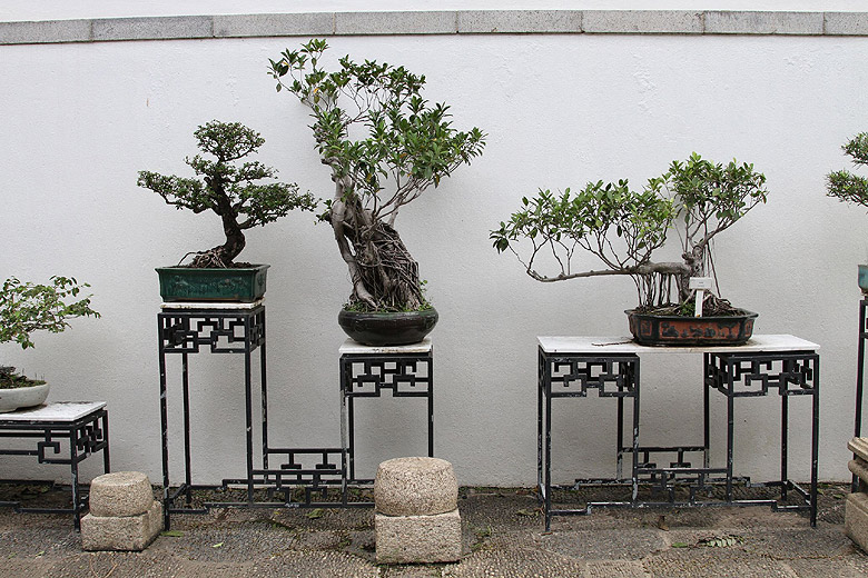 Гонконг, Парк города-крепости Коулун (Hong Kong, Kowloon Walled City Park)