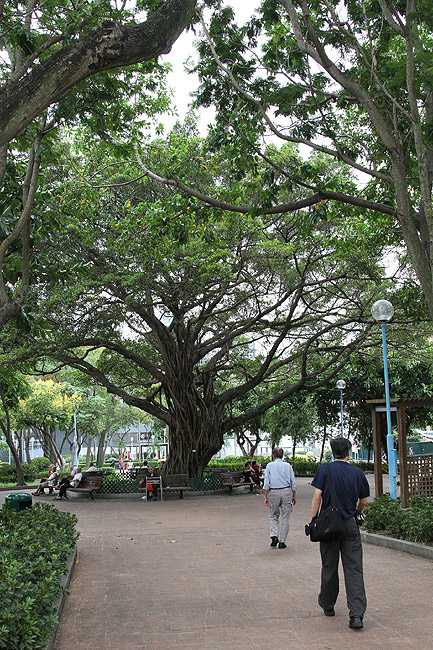 Гонконг, Парк города-крепости Коулун (Hong Kong, Kowloon Walled City Park)