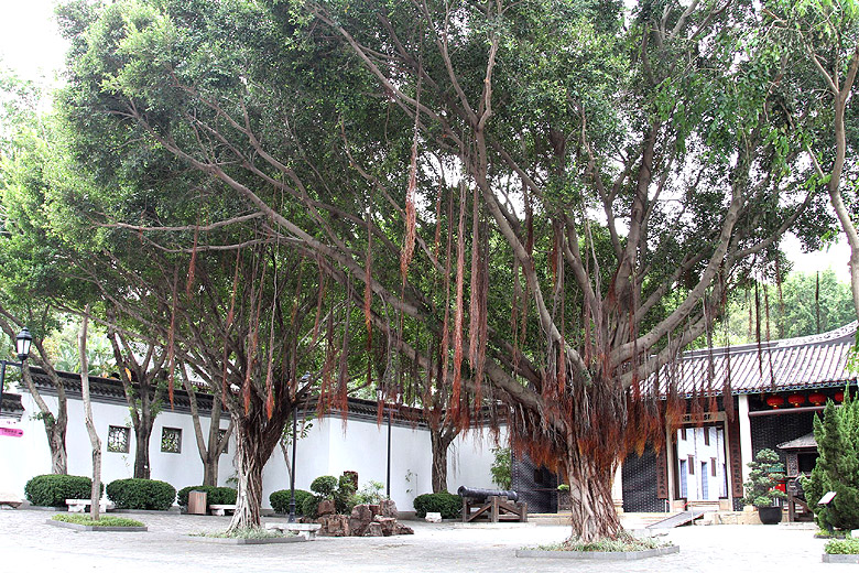 Гонконг, Парк города-крепости Коулун (Hong Kong, Kowloon Walled City Park)