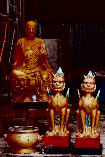 Гонконг, Шатинь, Монастырь Десяти Тысяч Будд (Hong Kong, Shatin, Ten Thousand Buddhas Monastery)