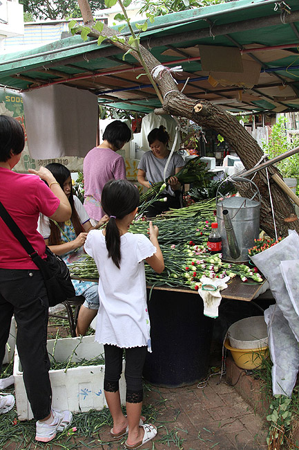Гонконг, Шатинь, Деревня Пайтау (Hong Kong, Shatin, Pai Tau Village)