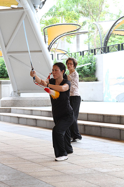 Гонконг, Шатинь, Парк Шатинь (Hong Kong, Shatin, Shatin Park)
