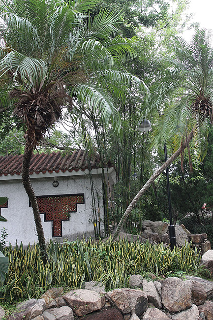 Гонконг, Шатинь, Парк Шатинь (Hong Kong, Shatin, Shatin Park)