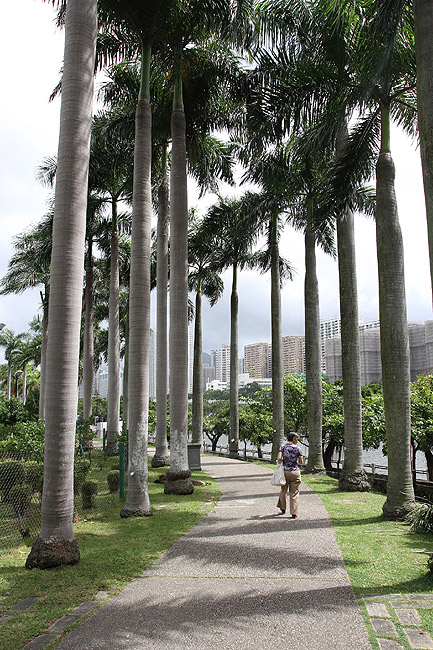 Гонконг, Шатинь, Парк Шатинь (Hong Kong, Shatin, Shatin Park)