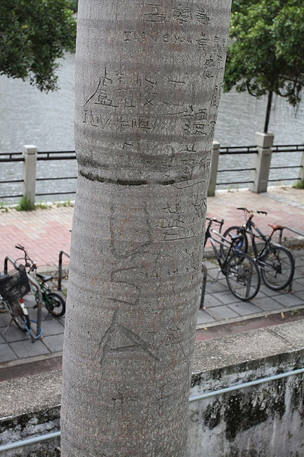 Гонконг, Шатинь, Парк Шатинь (Hong Kong, Shatin, Shatin Park)