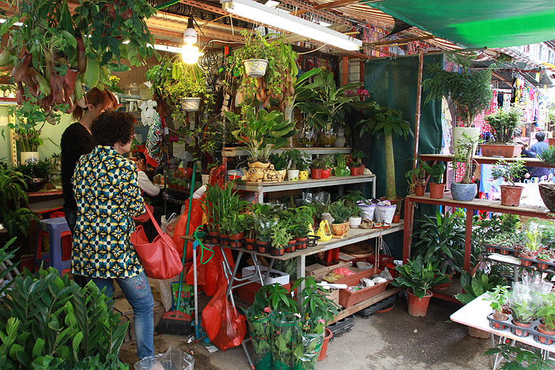Гонконг, Тай По, Рынок улицы Лук Хён (Hong Kong, Tai Po, Luk Heung Lane Market)