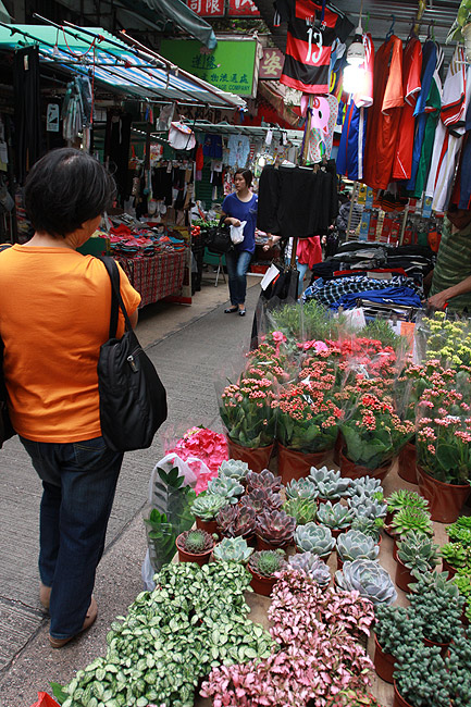 Гонконг, Ван Чай, Рынки в районе Cross Street и Tai Yuen Street (Hong Kong, Wan Chai, Cross Street and Tai Yuen Street Markets)