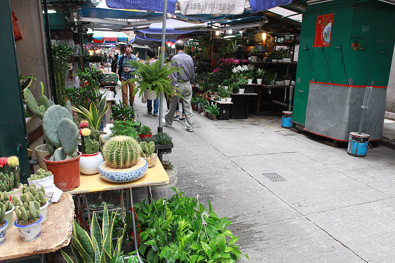 Гонконг, Ван Чай, Рынок на Gresson Street (Hong Kong, Wan Chai, Gresson Street Market)
