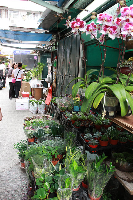 Гонконг, Ван Чай, Рынок на Gresson Street (Hong Kong, Wan Chai, Gresson Street Market)