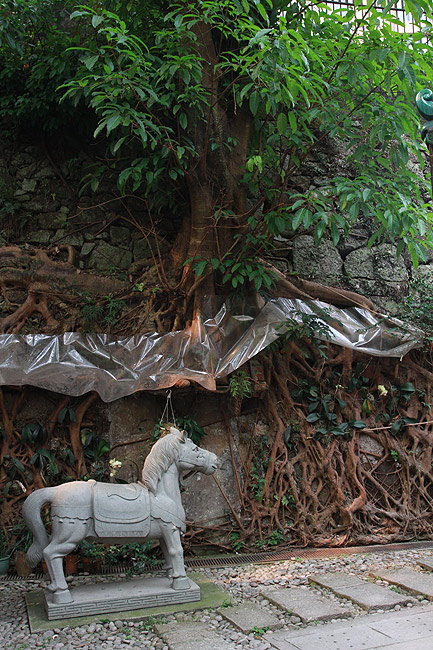 Гонконг, Ван Чай, Храм Пак Тай (Hong Kong, Wan Chai, Pak Tai Temple)