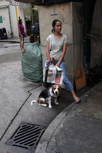 Гонконг, Ван Чай, Рынки в районе Cross Street и Tai Yuen Street (Hong Kong, Wan Chai, Cross Street and Tai Yuen Street Markets)